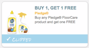 pledgefloor