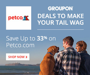 petco