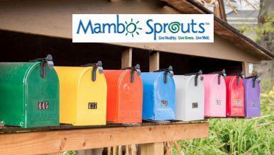 mambo sprouts