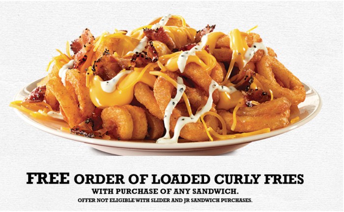 arbys loaded curly fries