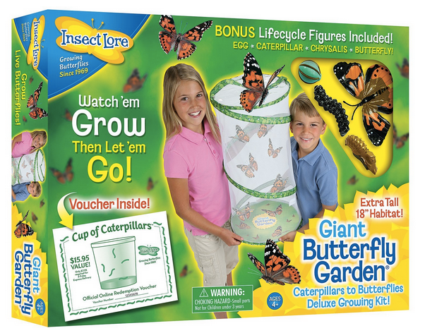 insect lore giant butterfly garden