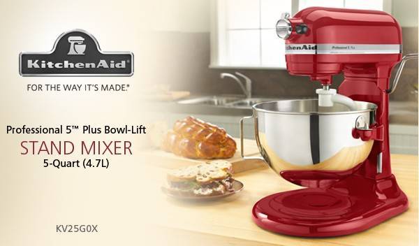 kitchen aid professional stand mixer