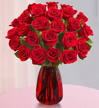 red roses