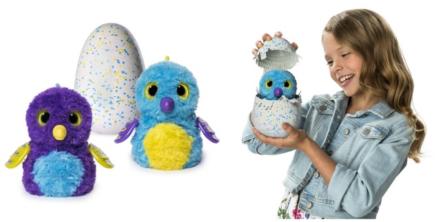 hatchimals draggle