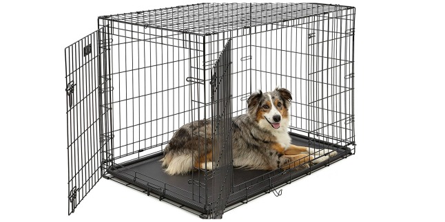 dog crate