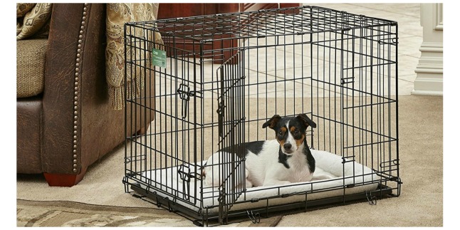 dog crate