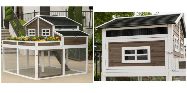 chicken coop