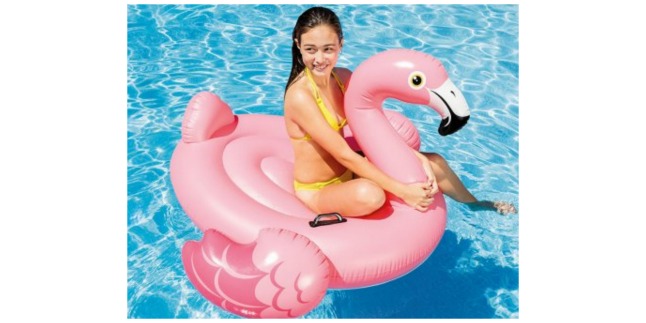 flamingo float