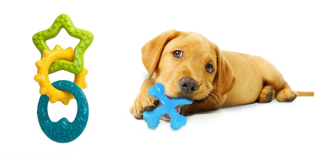 puppy toys