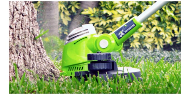 greenworks edger