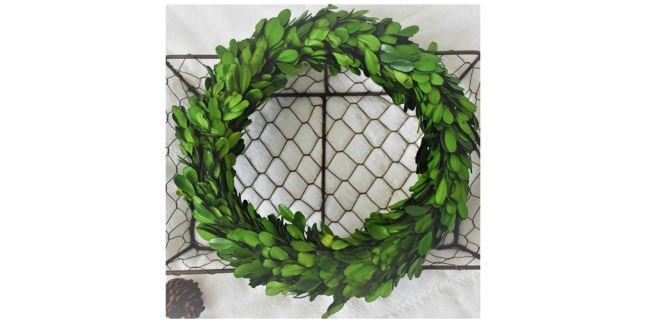 boxwood wreath