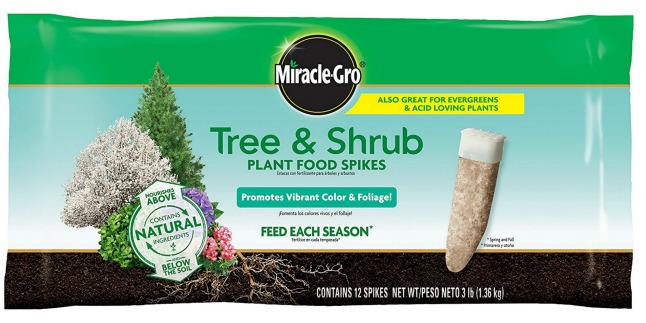 miracle gro tree shrub plant food spikes