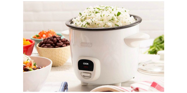 rice cooker