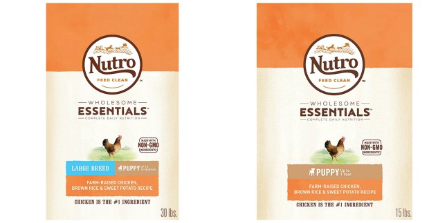 nutro dry puppy food