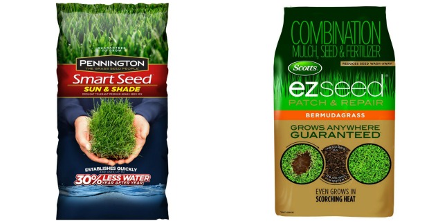 grass seed