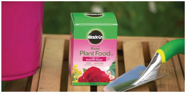 miracle gro rose plant food