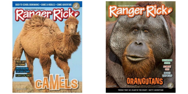 ranger rick magazine