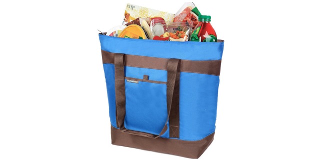 rachael ray xl tote