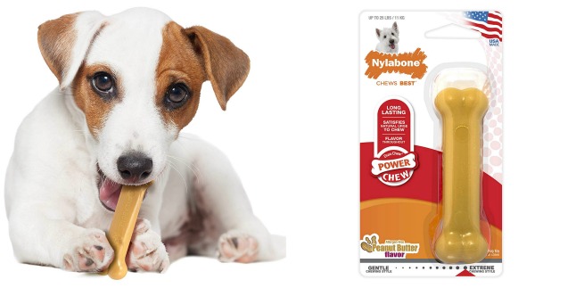 nylabone