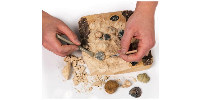 fossil dig kit