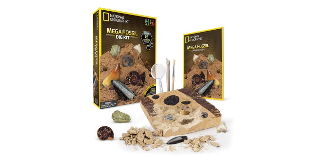 National Geographic fossil dig