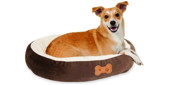 dog bed