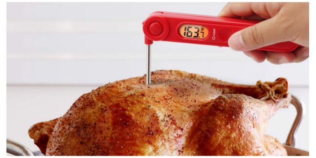 meat thermometer