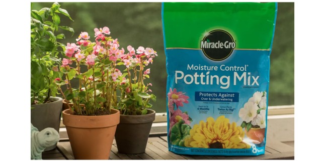 miracle gro potting mix