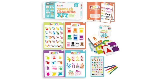 toddler flash card kit