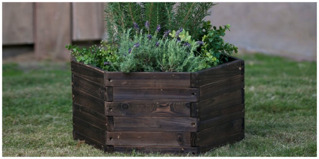 wood planter