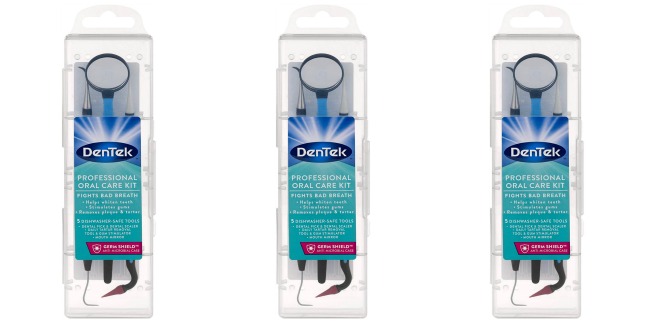 dentek oral care kit