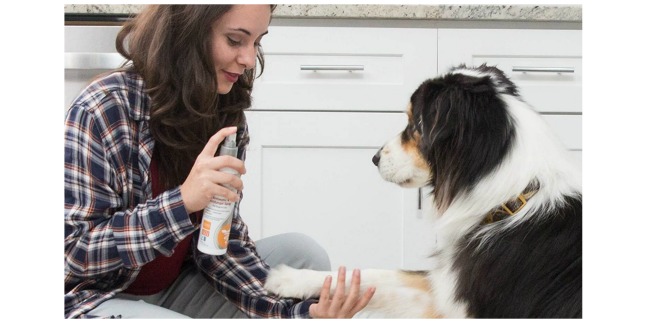 pet antiseptic spray