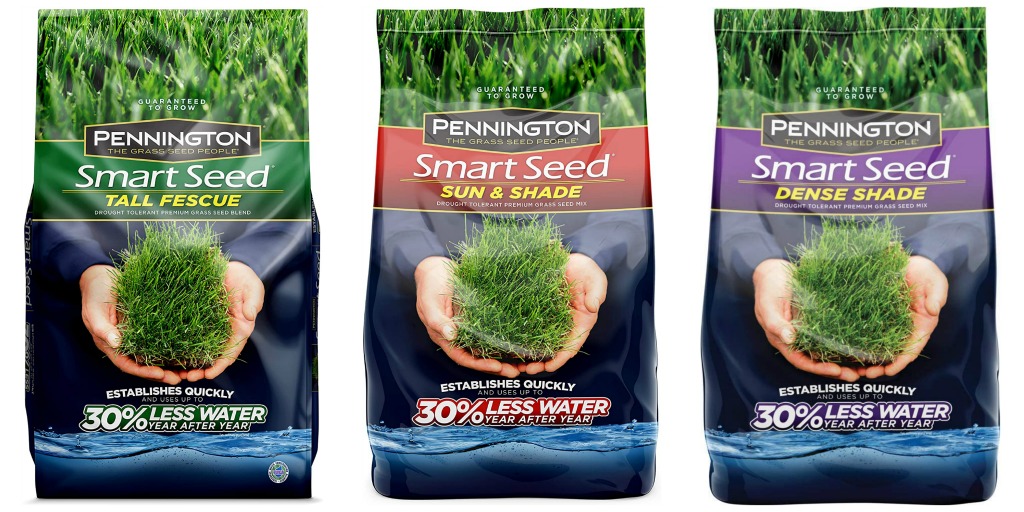 Pennington Smart Seed