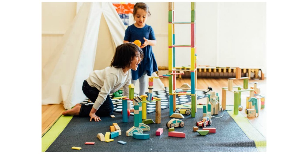 Tegu wooden blocks