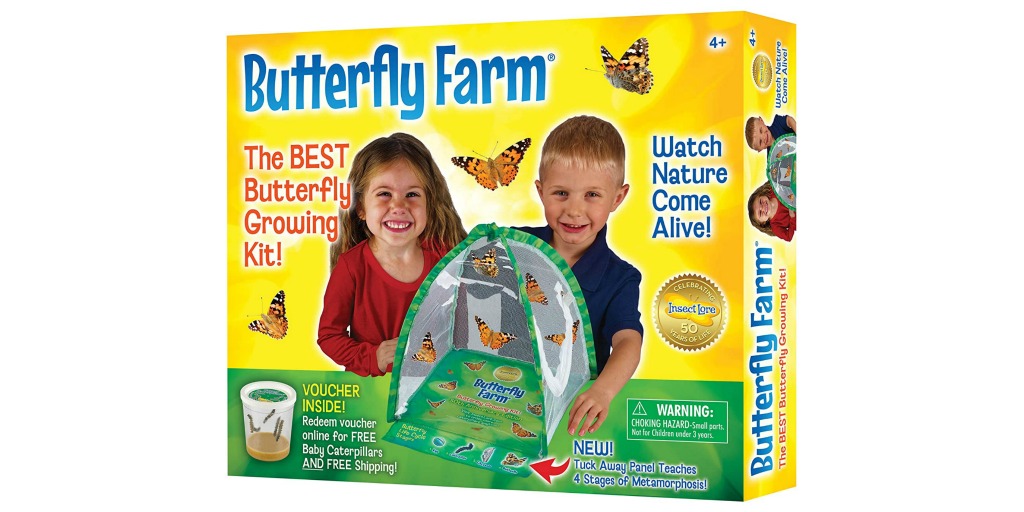 butterfly farm