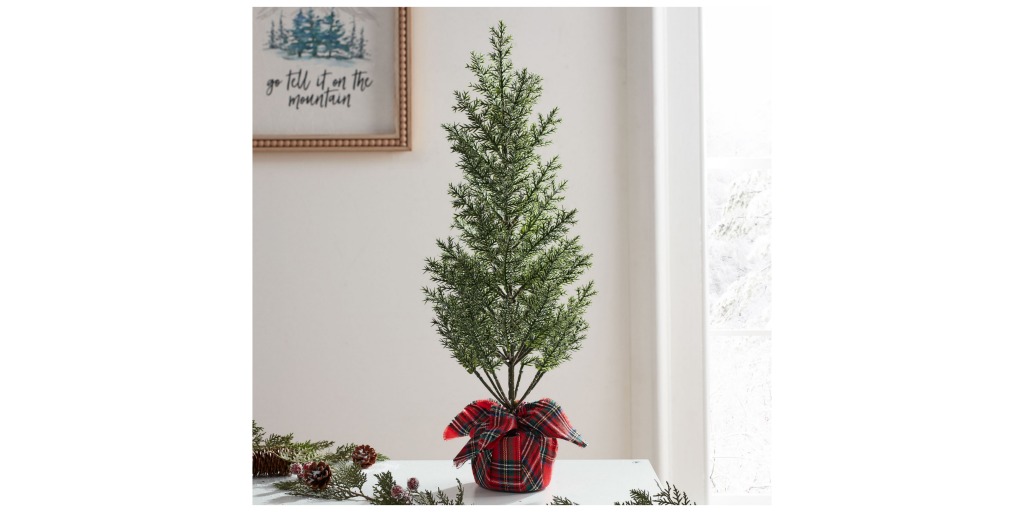 plaid wrapped pine tree