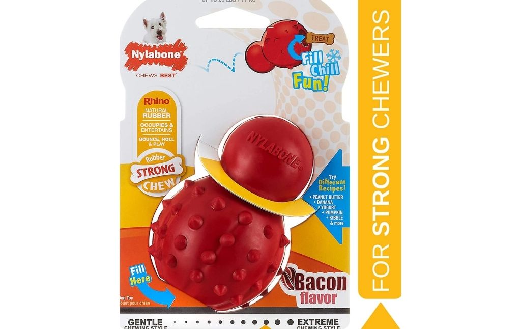 nylabone bacon flavor chew toy