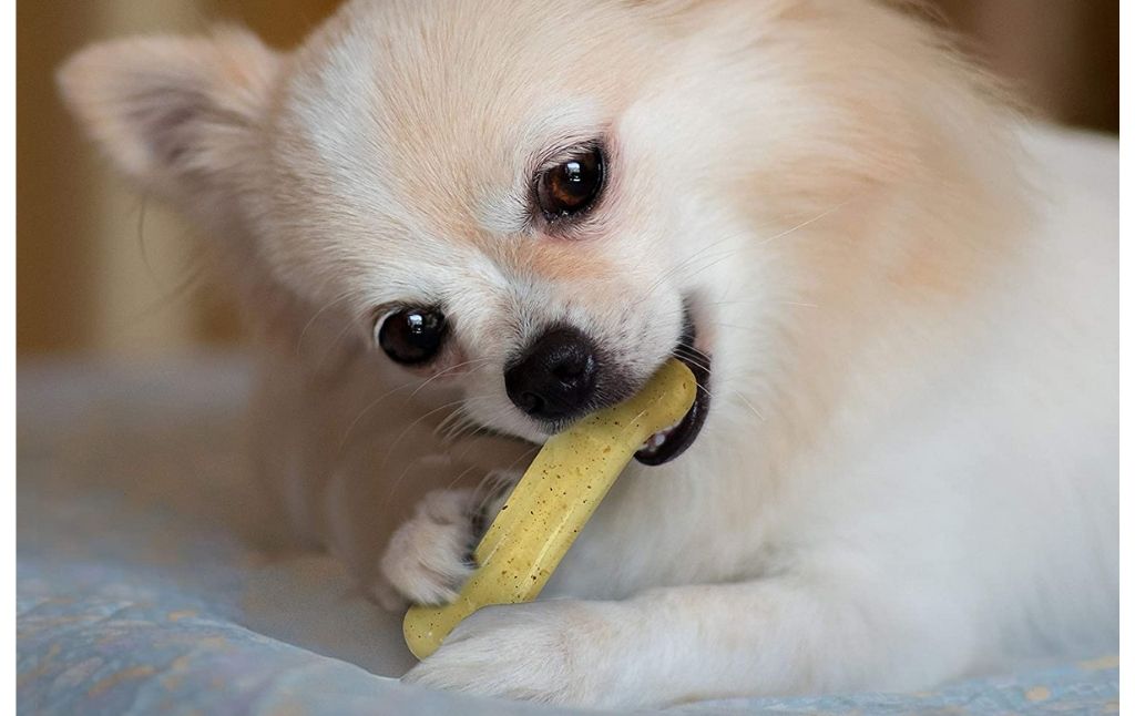 nylabone