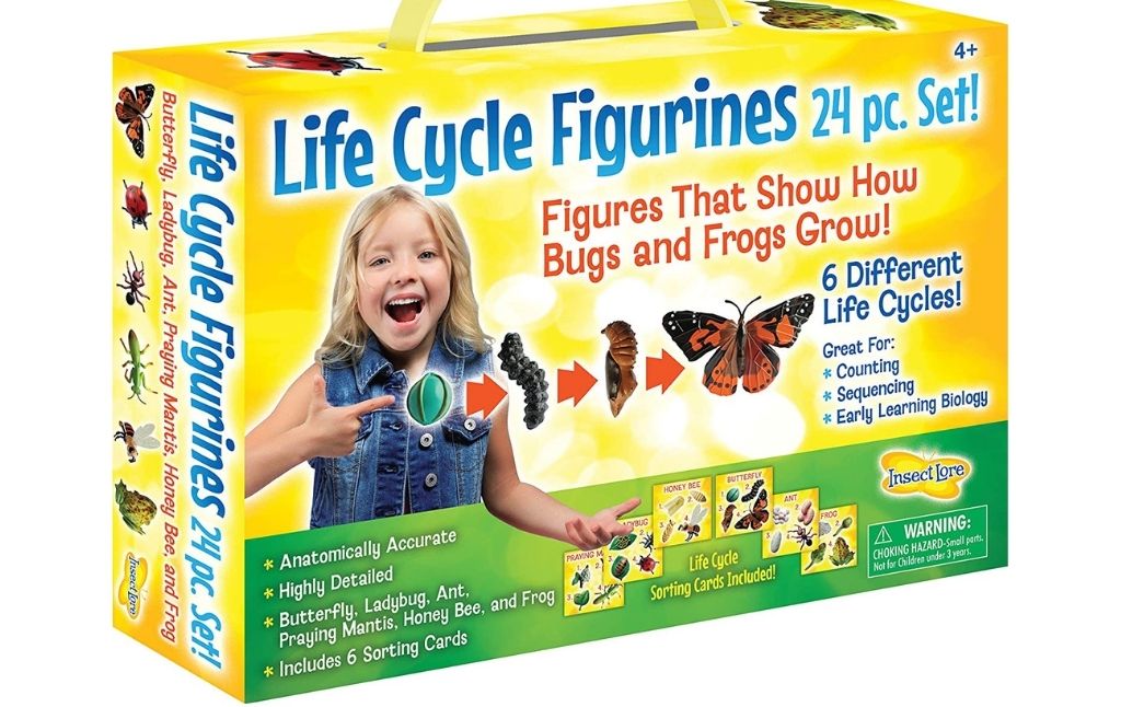 life cycle figurines 24 piece set