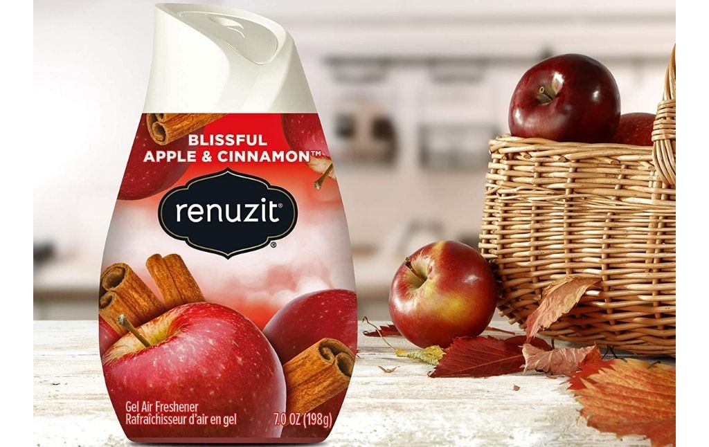 renuzit blissful apple cinnamon