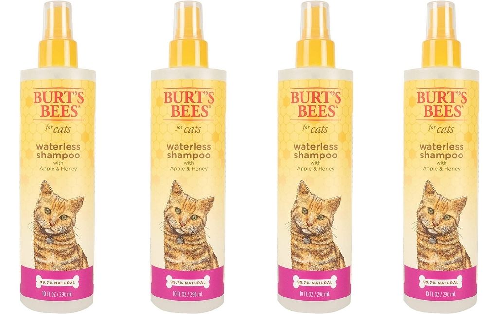 burts bees waterless shampoo