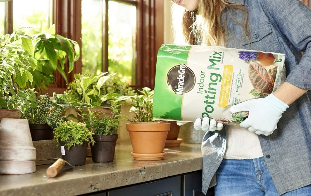 miracle gro indoor potting mix