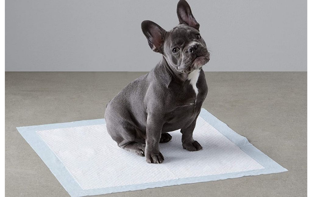 pet potty pads