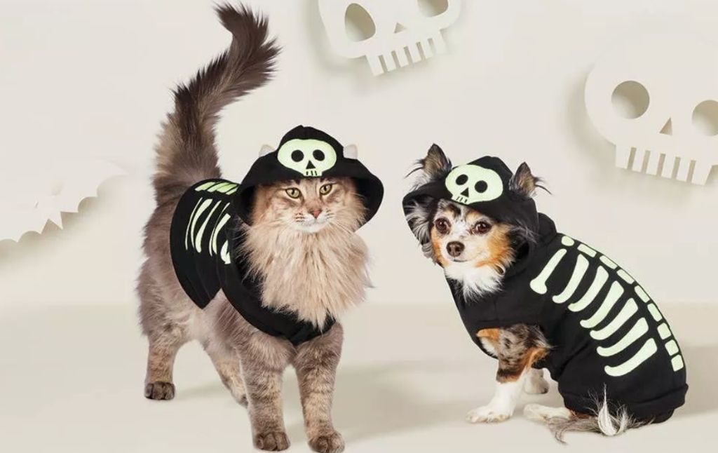 pet costumes