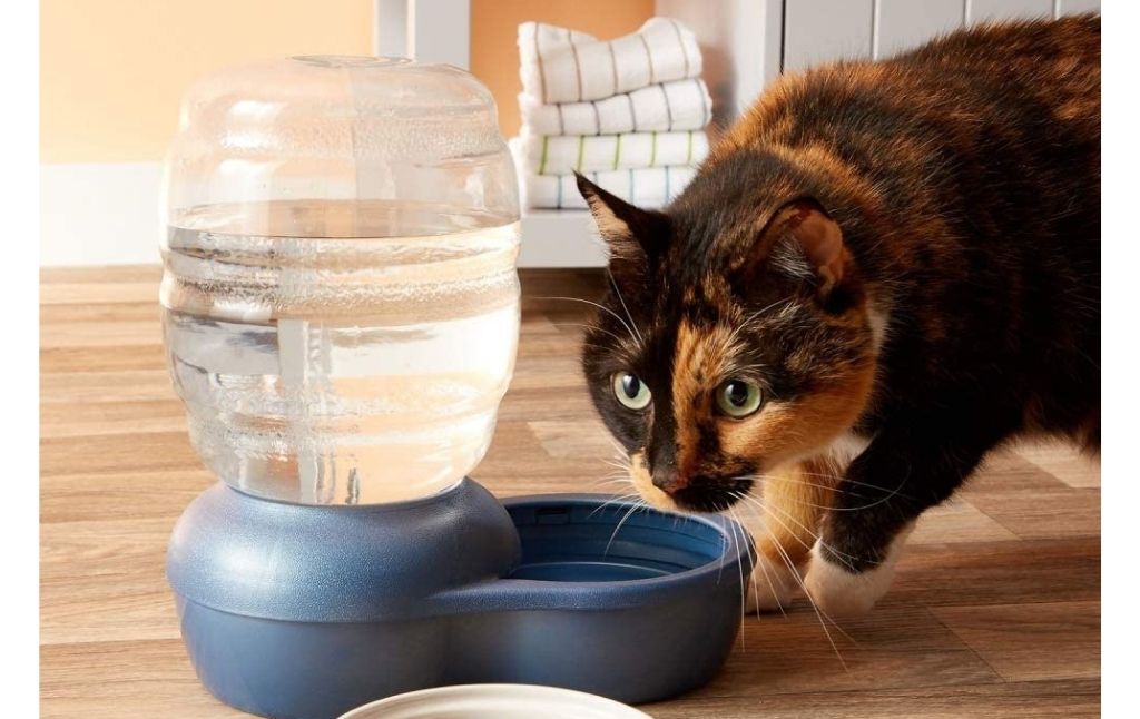 automatic water bowl