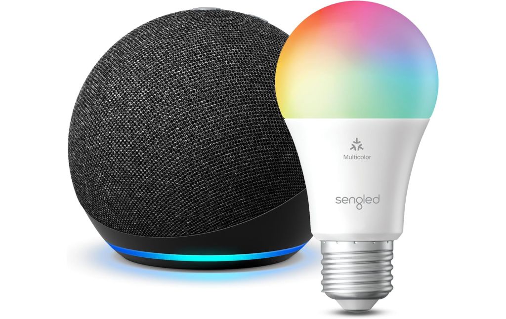 echo dot with bulb