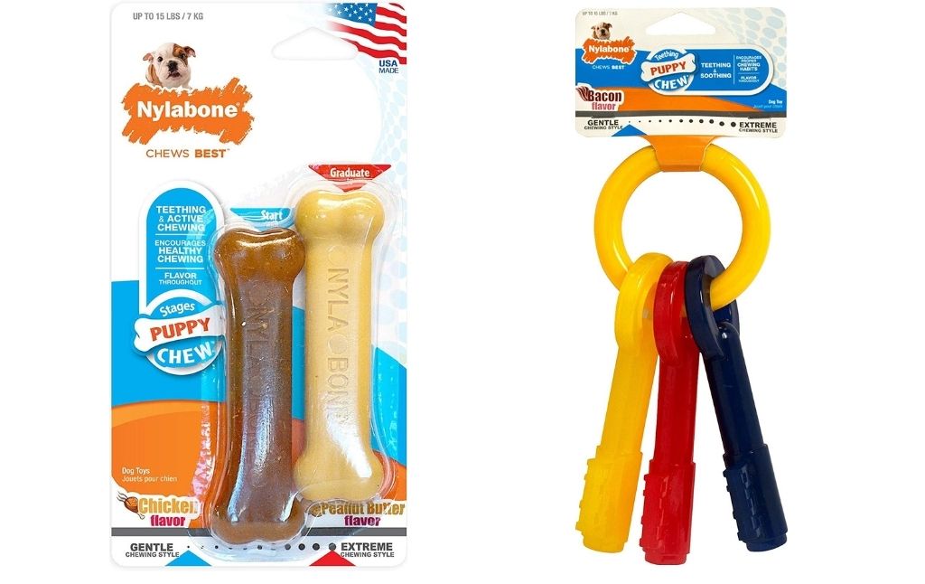 nylabone puppy toys