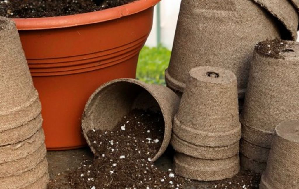 seed starting peat pots