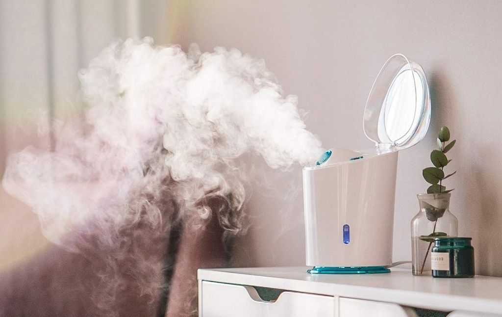 face steamer