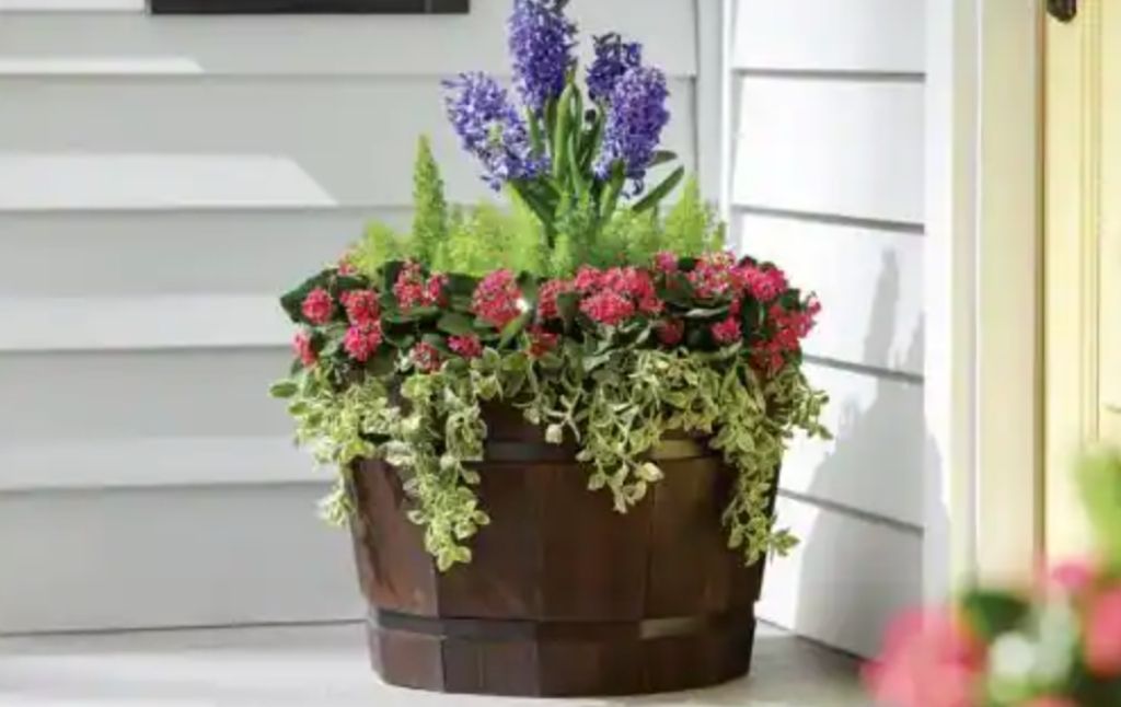 planter